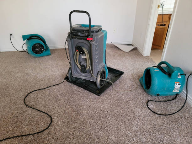 Best Carpet water damage restoration  in Ocean Gate, NJ