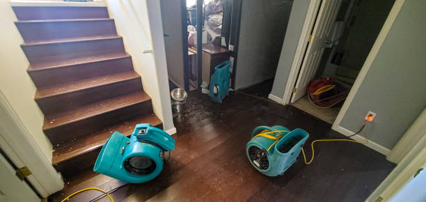 Best Water damage contractors near me  in Ocean Gate, NJ