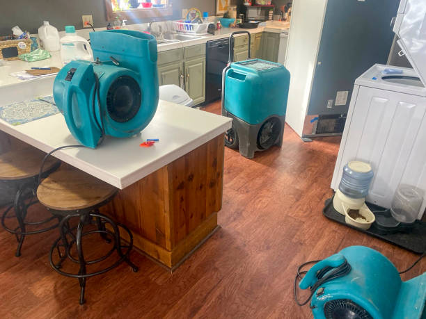Best Water damage restoration near me  in Ocean Gate, NJ