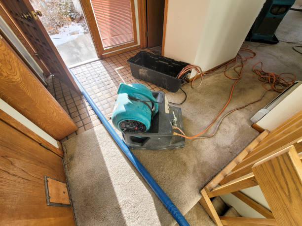 Best Sewage cleanup and water damage restoration  in Ocean Gate, NJ