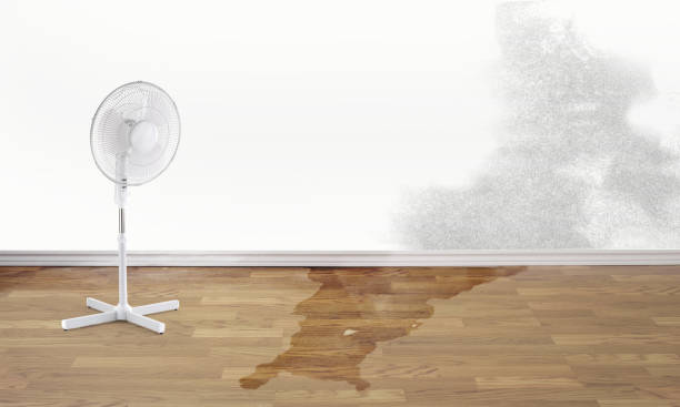 Best Flooded house restoration  in Ocean Gate, NJ