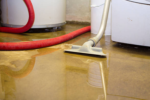 Best 24-hour water damage restoration  in Ocean Gate, NJ