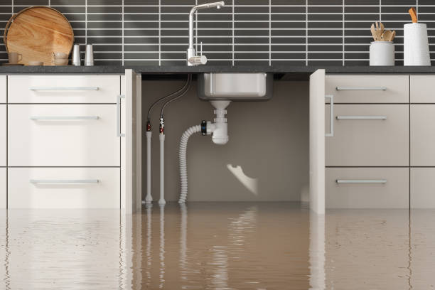 Best Flood restoration services  in Ocean Gate, NJ