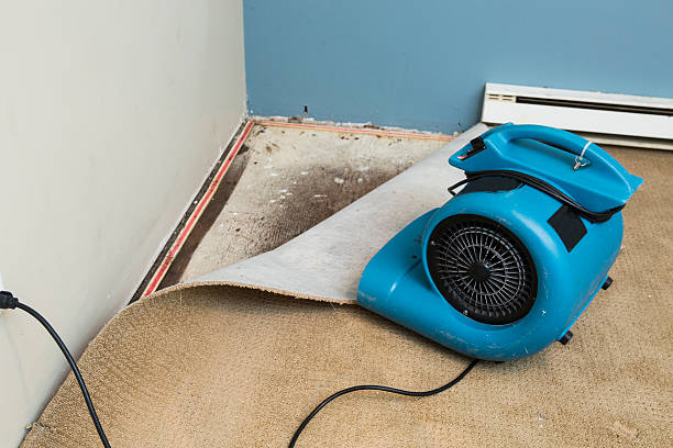 , NJ Water damage restoration Company